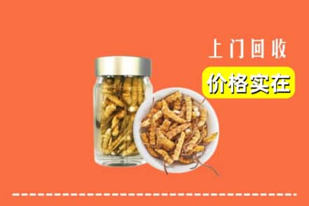 收购资讯:淮阳区回收散虫草