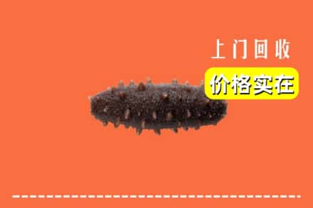 收购资讯:淮阳区回收海参