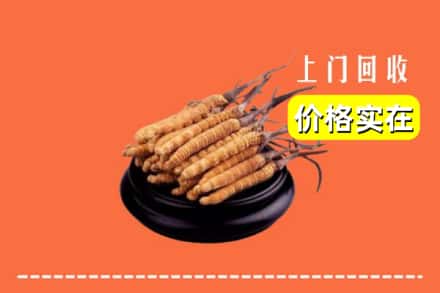 淮阳区回收冬虫夏草